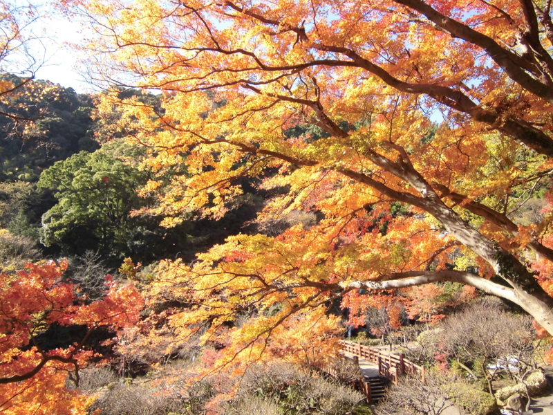 f:id:dancingbrave1986:20121206112309j:image