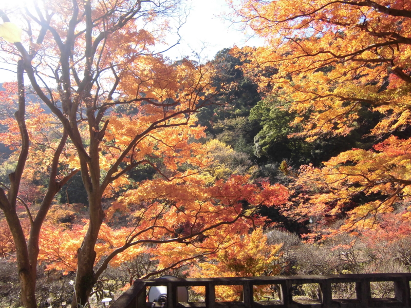 f:id:dancingbrave1986:20121206112324j:image