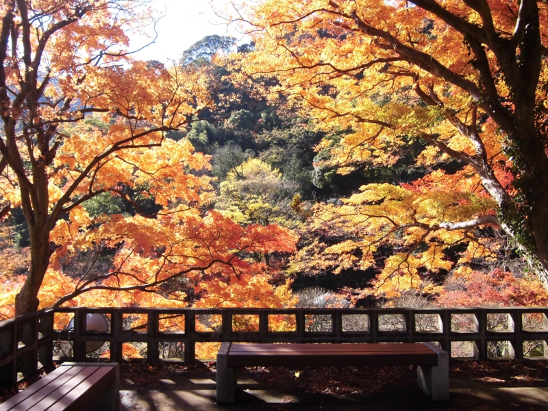 f:id:dancingbrave1986:20121206112751j:image