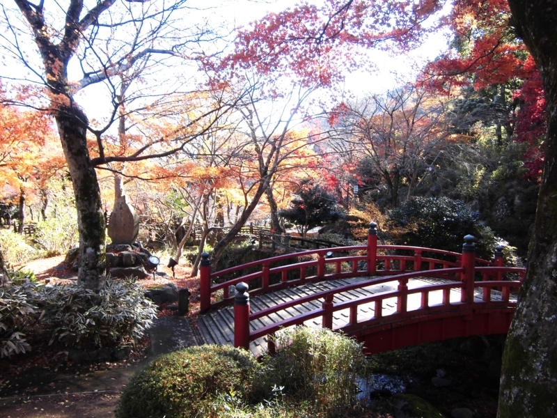 f:id:dancingbrave1986:20121206113028j:image