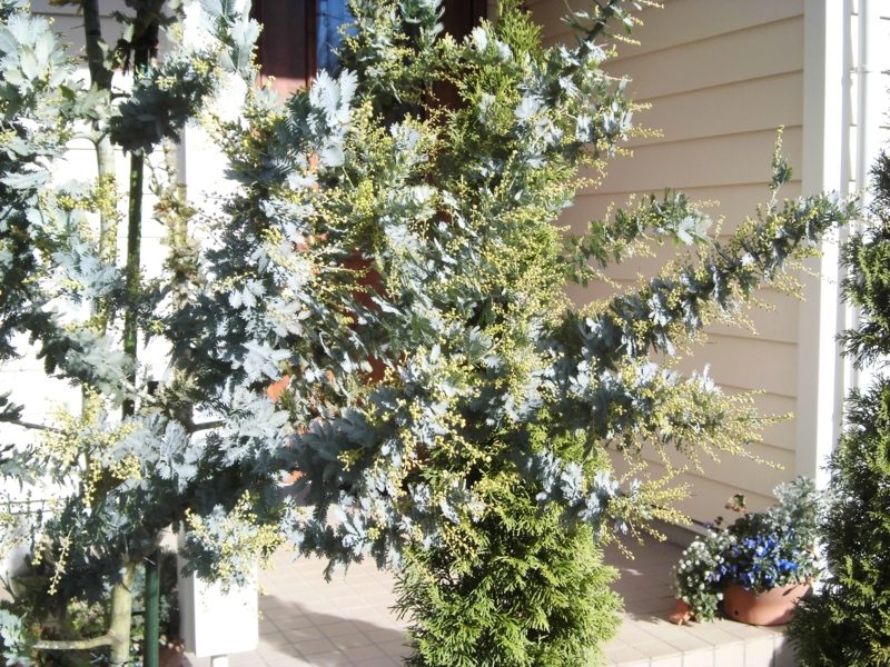 f:id:dancingbrave1986:20121210133840j:image