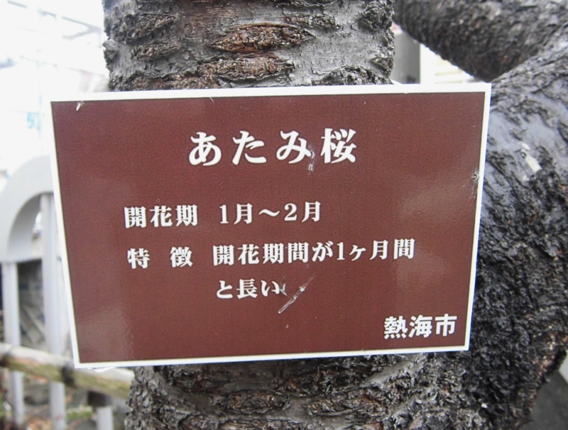 f:id:dancingbrave1986:20130218095937j:image