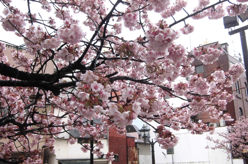 f:id:dancingbrave1986:20130218100353j:image