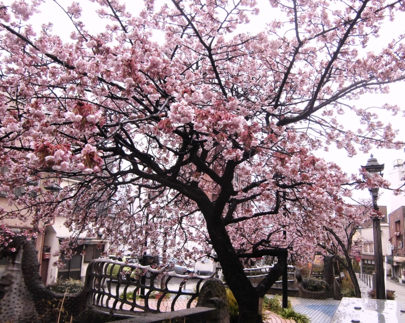 f:id:dancingbrave1986:20130218100417j:image
