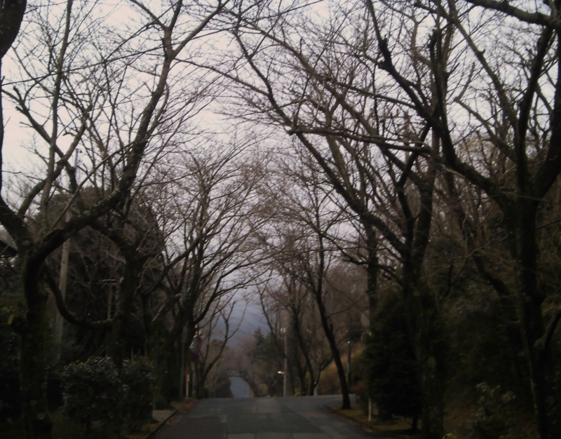 f:id:dancingbrave1986:20130227163752j:image