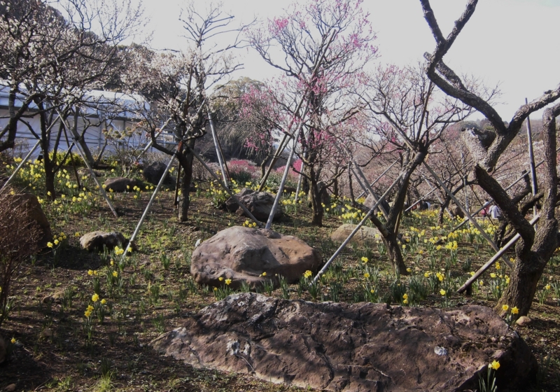 f:id:dancingbrave1986:20130228142922j:image