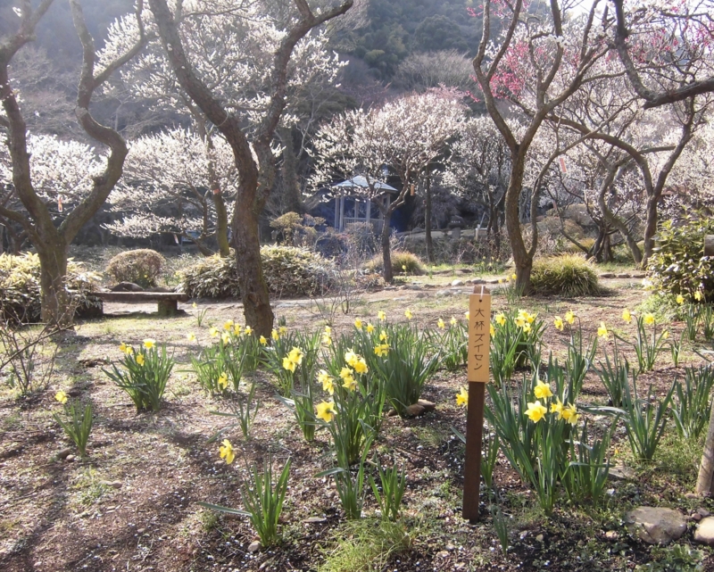 f:id:dancingbrave1986:20130228143555j:image