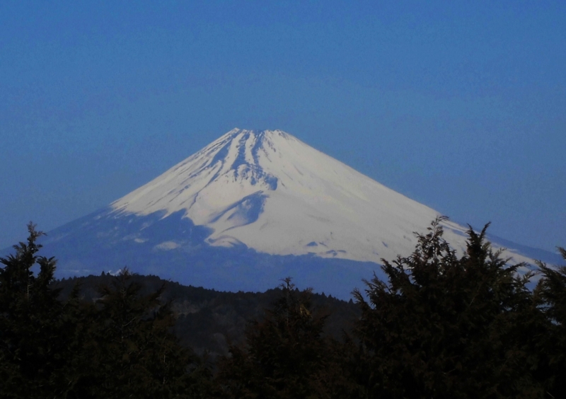 f:id:dancingbrave1986:20130306103158j:image