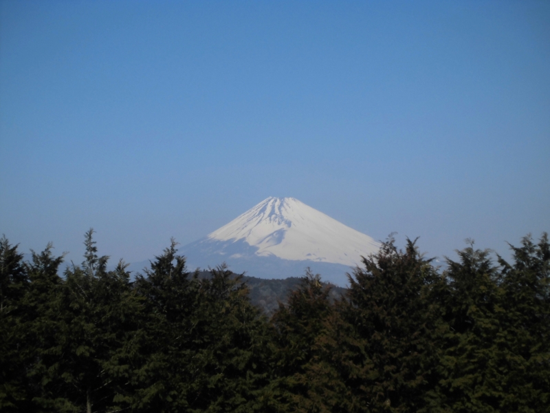 f:id:dancingbrave1986:20130306103223j:image