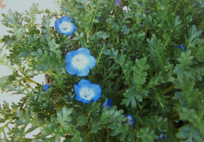 f:id:dancingbrave1986:20130311150835j:image