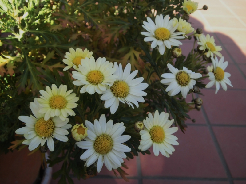 f:id:dancingbrave1986:20130312154628j:image