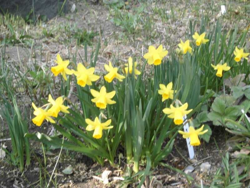 f:id:dancingbrave1986:20130313144442j:image f:id:dancingbrave1986:20130313144442j:image