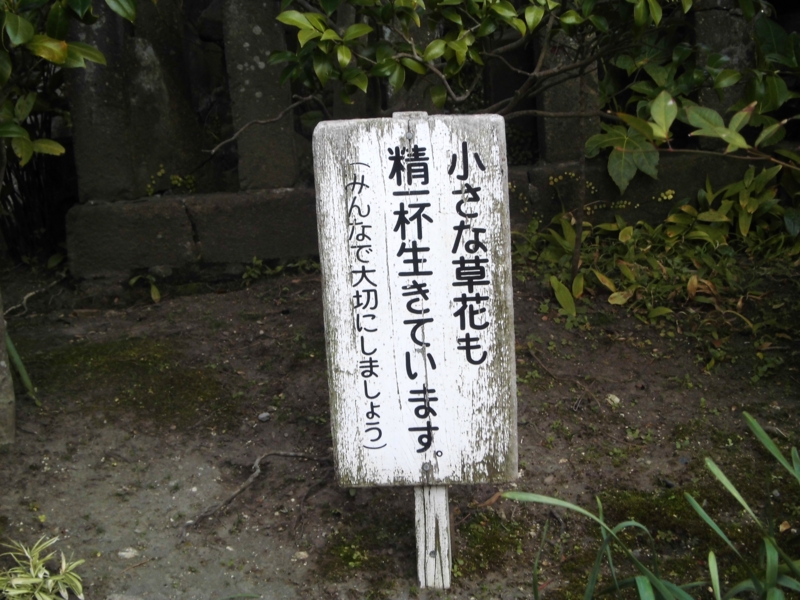 f:id:dancingbrave1986:20130313144636j:image f:id:dancingbrave1986:20130313144636j:image
