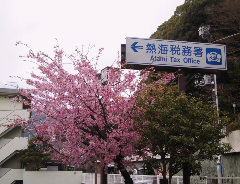 f:id:dancingbrave1986:20130315100253j:image