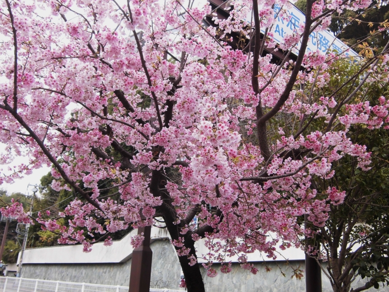 f:id:dancingbrave1986:20130315100325j:image