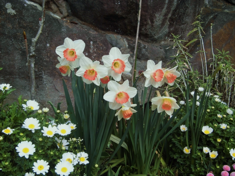 f:id:dancingbrave1986:20130320090733j:image