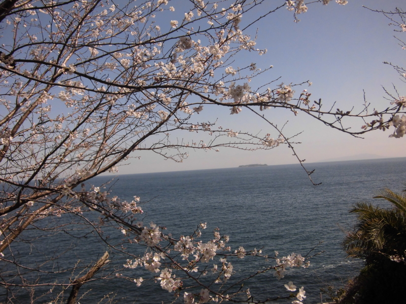 f:id:dancingbrave1986:20130321131335j:image