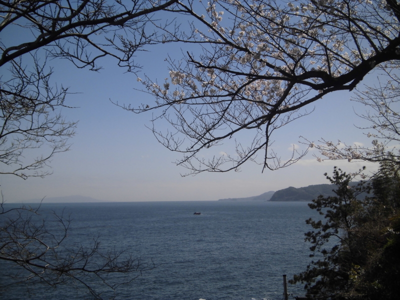 f:id:dancingbrave1986:20130321131400j:image