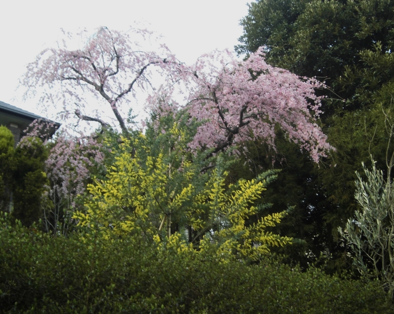 f:id:dancingbrave1986:20130322170201j:image