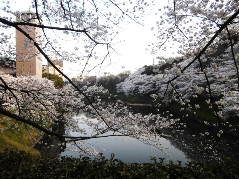 f:id:dancingbrave1986:20130328171944j:image f:id:dancingbrave1986:20130328171944j:image