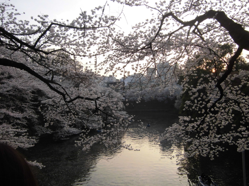 f:id:dancingbrave1986:20130328172251j:image f:id:dancingbrave1986:20130328172251j:image