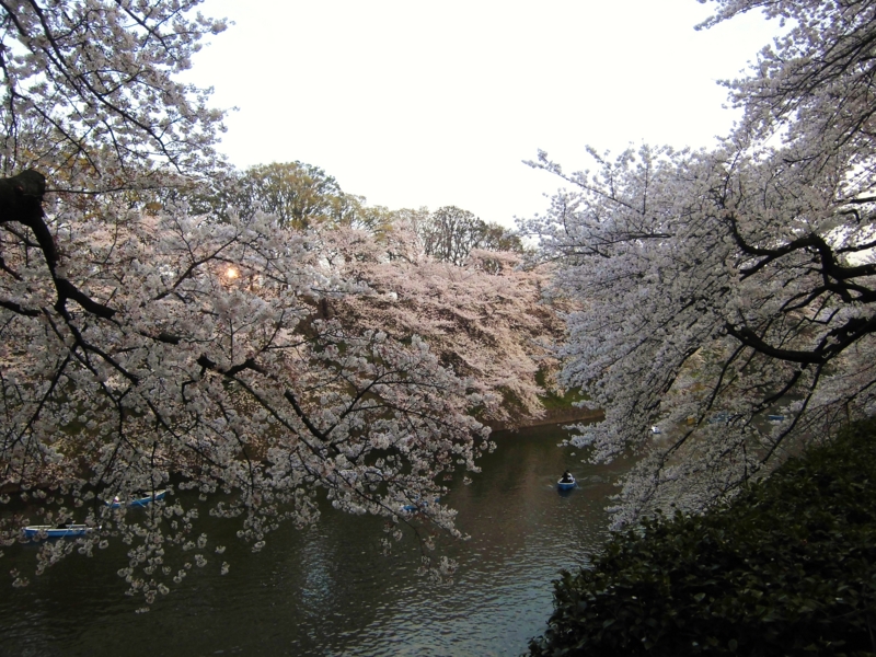 f:id:dancingbrave1986:20130328173426j:image f:id:dancingbrave1986:20130328173426j:image