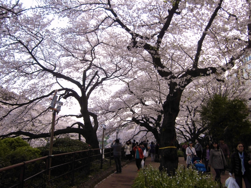 f:id:dancingbrave1986:20130328173819j:image f:id:dancingbrave1986:20130328173819j:image