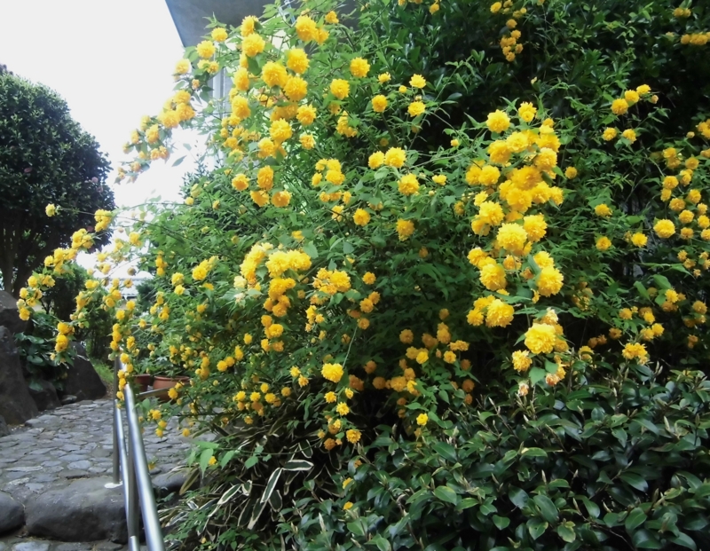 20130417172120
