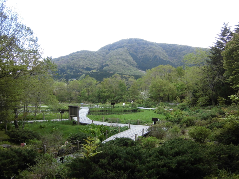 f:id:dancingbrave1986:20130507140924j:image