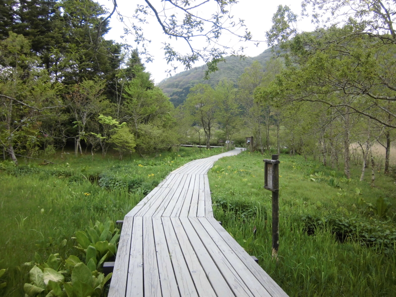 f:id:dancingbrave1986:20130507141341j:image