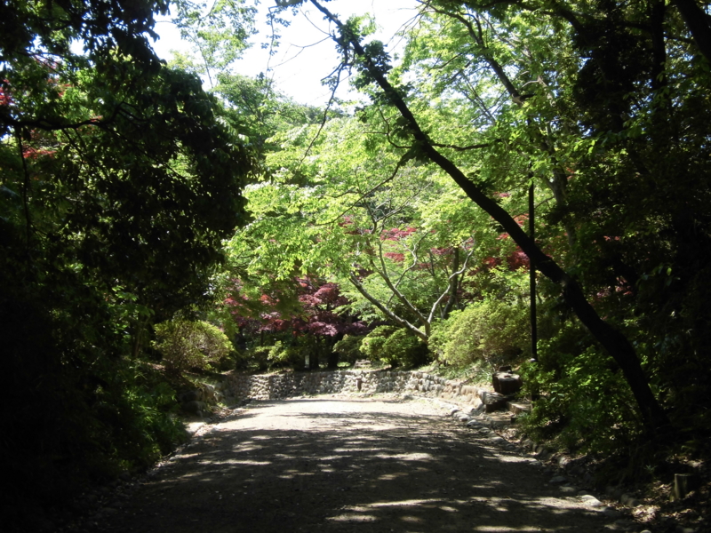 f:id:dancingbrave1986:20130508112304j:image