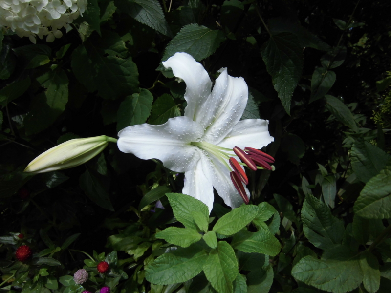 f:id:dancingbrave1986:20130624124648j:image
