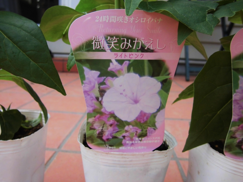 f:id:dancingbrave1986:20130624150440j:image