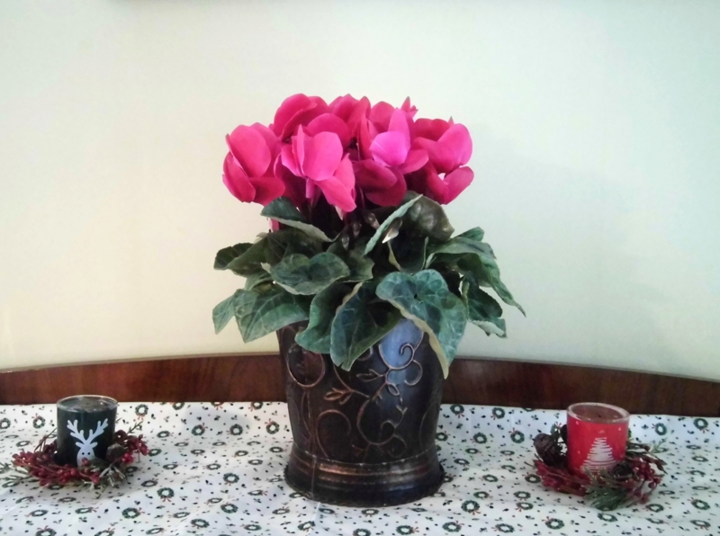 f:id:dancingbrave1986:20131125110108j:image