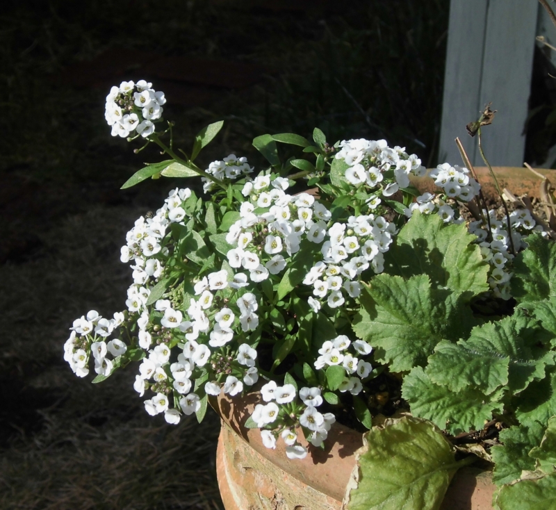 f:id:dancingbrave1986:20131201130311j:image f:id:dancingbrave1986:20131201130311j:image