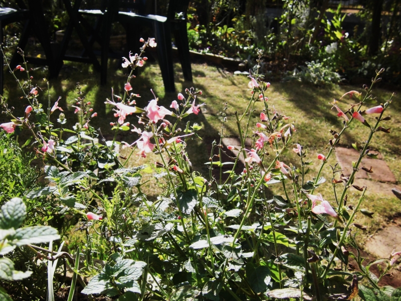 f:id:dancingbrave1986:20131201130338j:image f:id:dancingbrave1986:20131201130338j:image