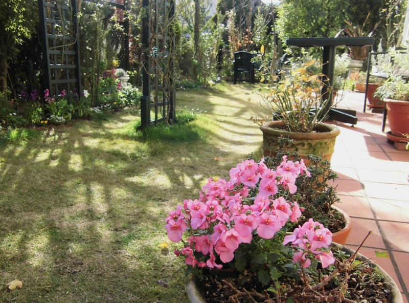 f:id:dancingbrave1986:20131201130426j:image f:id:dancingbrave1986:20131201130426j:image