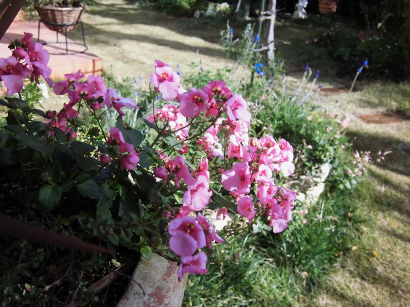 f:id:dancingbrave1986:20131201130600j:image f:id:dancingbrave1986:20131201130600j:image