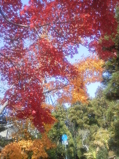 f:id:dancingbrave1986:20131206223929j:image f:id:dancingbrave1986:20131206223929j:image