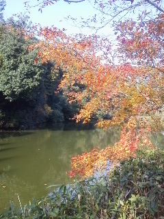 f:id:dancingbrave1986:20131207130842j:image f:id:dancingbrave1986:20131207130842j:image