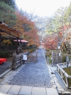 f:id:dancingbrave1986:20131207130852j:image f:id:dancingbrave1986:20131207130852j:image