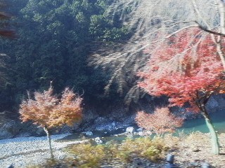 f:id:dancingbrave1986:20131207200729j:image f:id:dancingbrave1986:20131207200729j:image