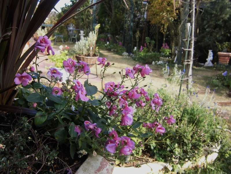 f:id:dancingbrave1986:20131215133744j:image f:id:dancingbrave1986:20131215133744j:image