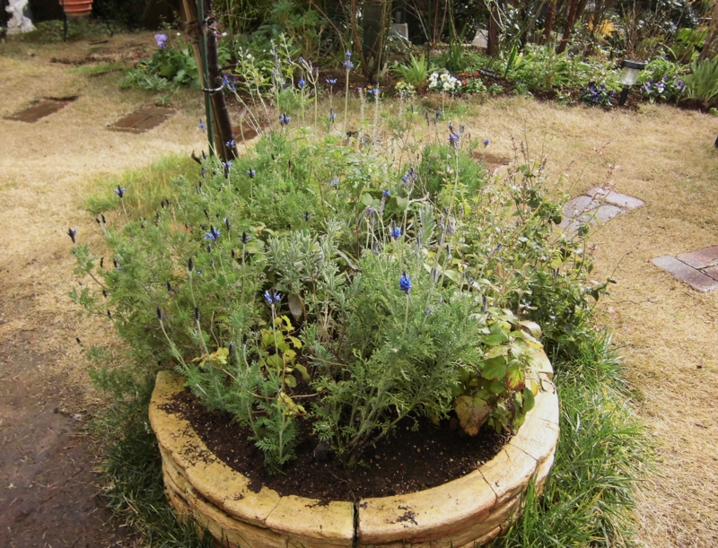 f:id:dancingbrave1986:20131226121211j:image