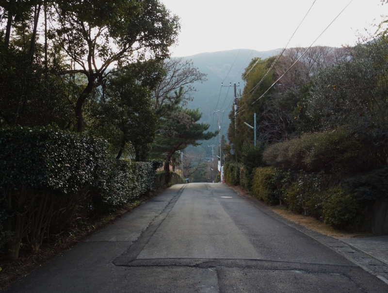 f:id:dancingbrave1986:20140121163140j:image