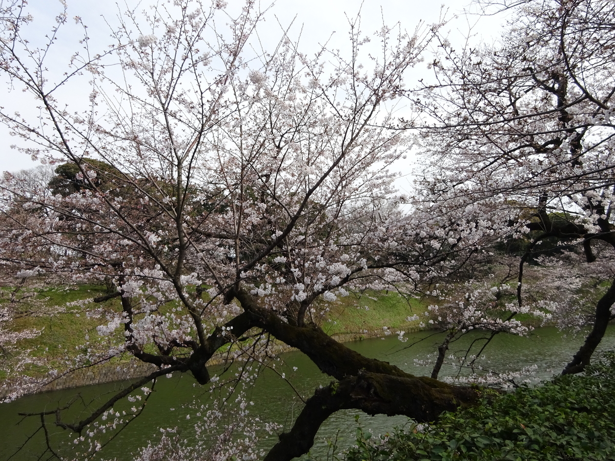 f:id:dancingbrave1986:20140126235435j:plain