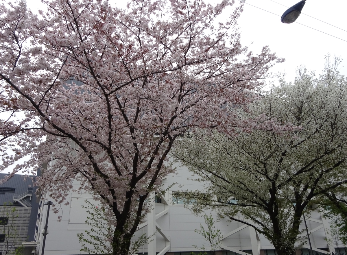 f:id:dancingbrave1986:20140205012046j:plain