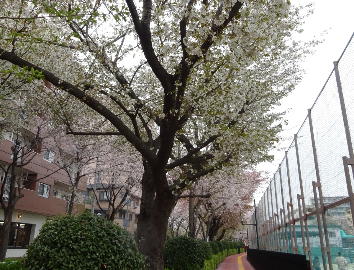 f:id:dancingbrave1986:20140205013052j:plain