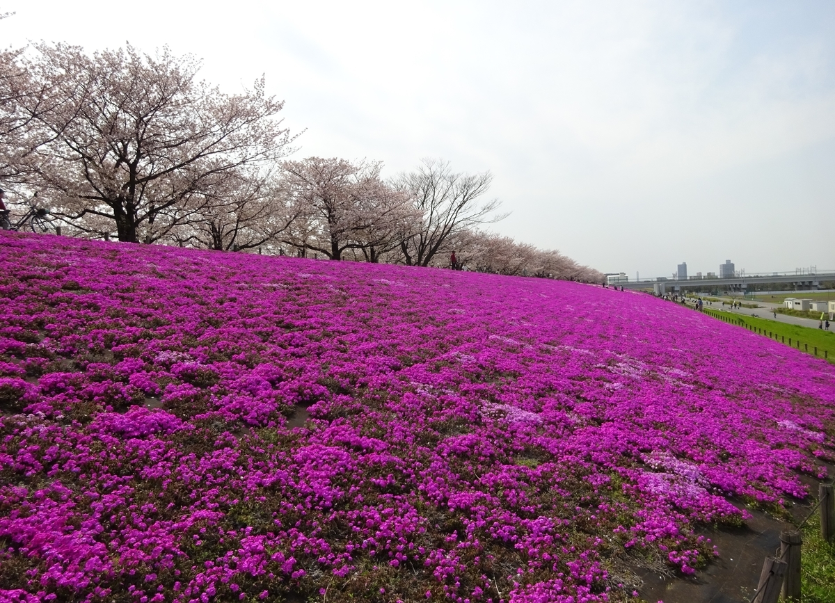 f:id:dancingbrave1986:20140207225700j:plain f:id:dancingbrave1986:20140207225700j:plain