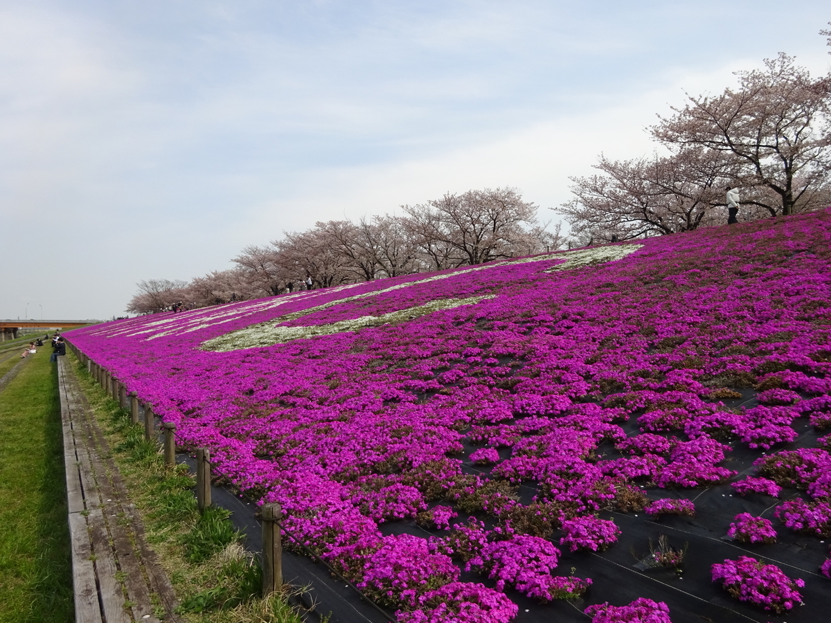 f:id:dancingbrave1986:20140207230258j:plain f:id:dancingbrave1986:20140207230258j:plain